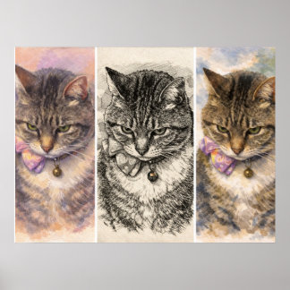 Poster 1 Humor + 3 Vibrações = Purrfeição Total