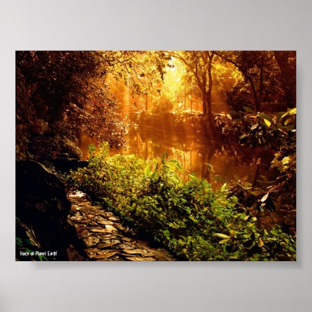 Poster 1 - Natureza (Frente)