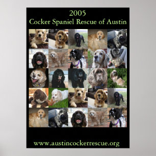 Poster 2005 do salvamento de cocker spaniel