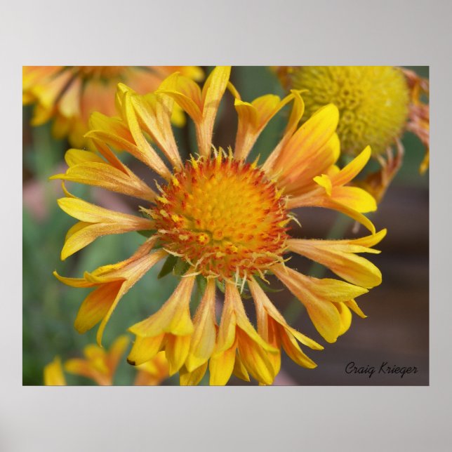 Pôster 2010f_may, Craig Krieger (Frente)