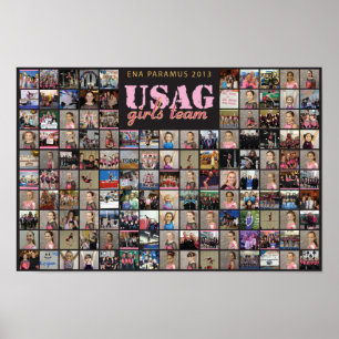 Poster 2013 de ENA USAG