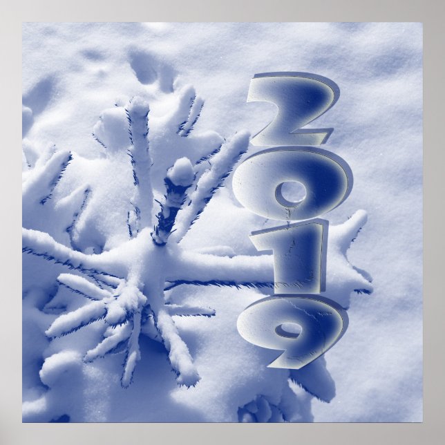 Poster 2019 na nova neve (Frente)