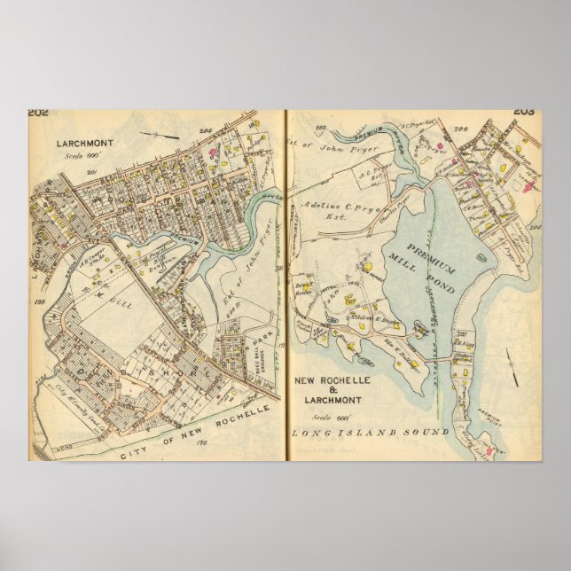Poster 202203 Larchmont, New Rochelle (Frente)