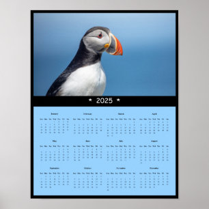 Poster 2025 Atlantic Puffin no Maine Wall Calendar