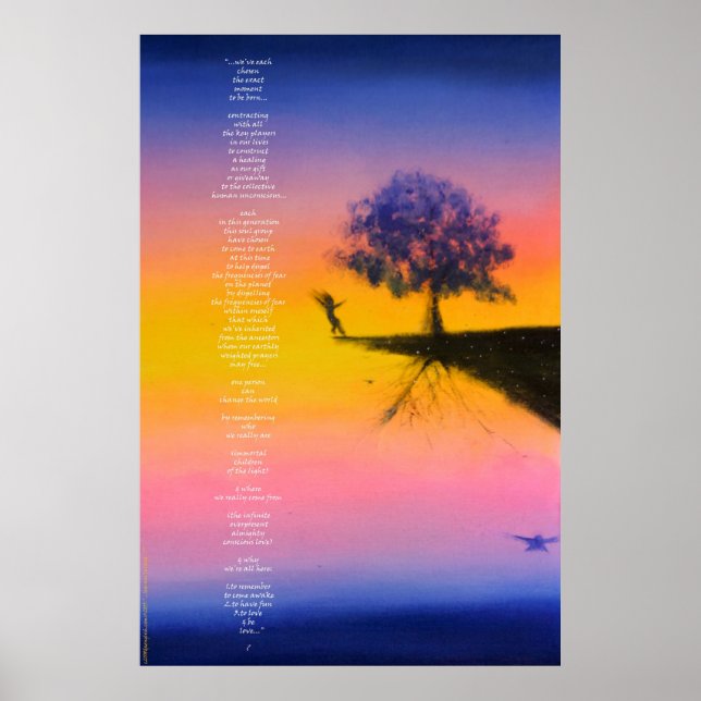 Pôster 2055. Aprendendo a pousar? Poster/Impressão (Frente)