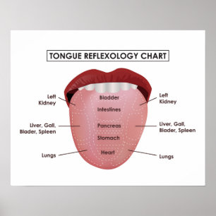 Pôster 20" x 16", carta do Reflexology da língua (Matte)