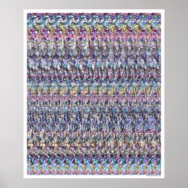 Poster (20" x 24") (Frente)