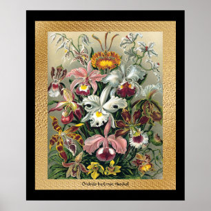 Poster 20 x 24 Preto e Dourado