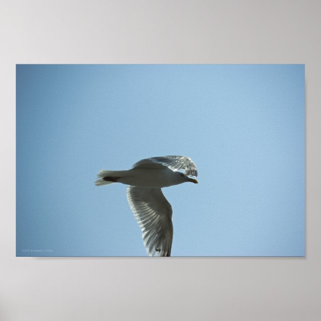 PÔSTER 2367 (Frente)