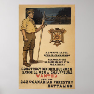 Poster 242nd Silvicultura canadense Battalion1915
