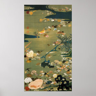 Poster 24. 貝 甲 図, 若 Shells, Jakuchu, Japão Art