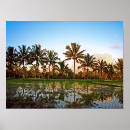 Poster (24" x 18") Palm Trees Bali