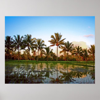 Poster (24" x 18") Palm Trees Bali