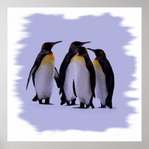 Poster 24X24 de quatro pinguins "