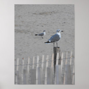 Pôster ~ 25,5 da praia