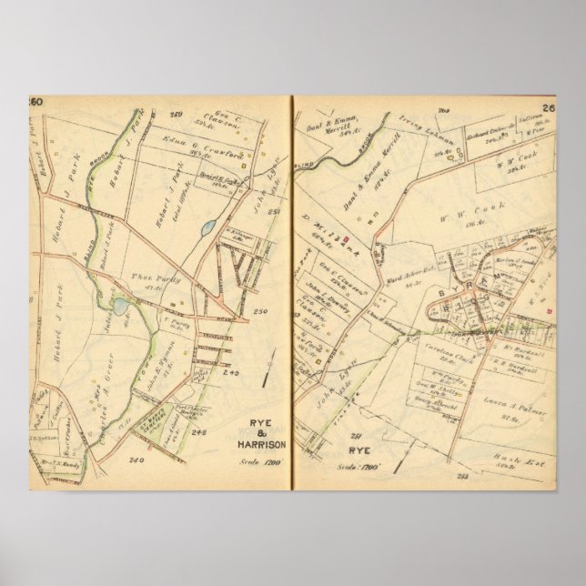 Pôster 260261 Rye, Harrison (Frente)