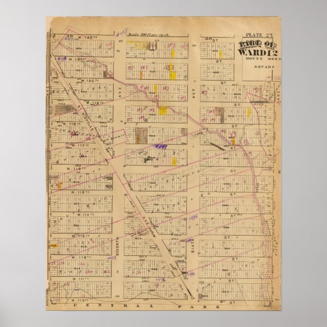 Pôster 27 Ward 12 (Frente)