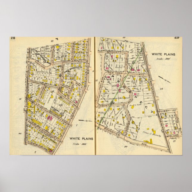 Pôster 28-29 White Plains (Frente)