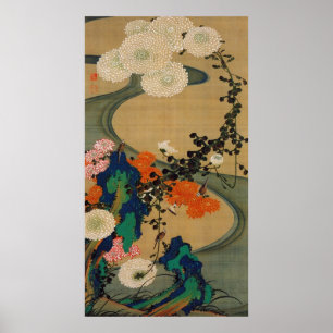 Pôster 29. 菊花流水図, crisântemo do 若冲 & córr