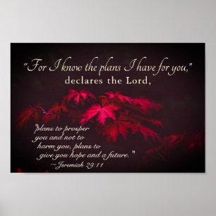 Poster 29:11 de Jeremiah para eu sei os planos que eu