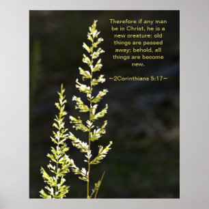 Poster 2 Corintianos 5:17
