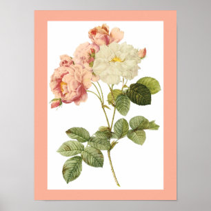 Poster 2 da flor do vintage