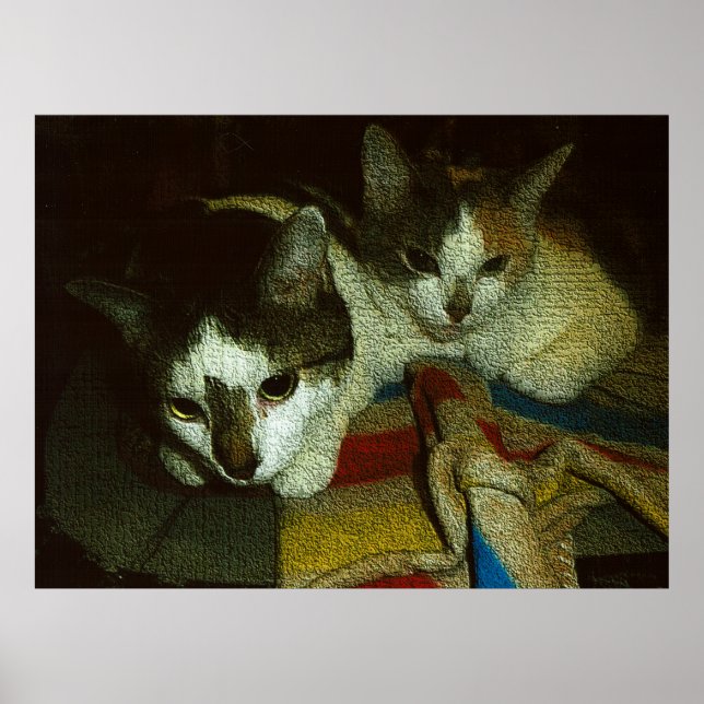 Poster 2 Gatinhos Curiosos (Frente)
