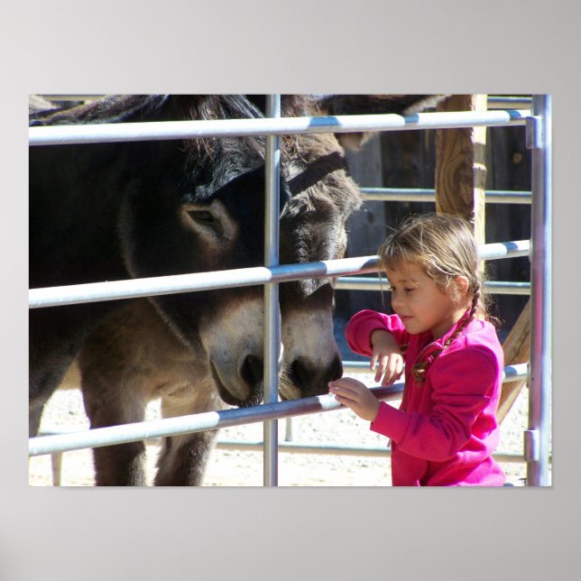 Poster 2 Macacos-burro em Jackalope Papais noeis Fe NM (Frente)