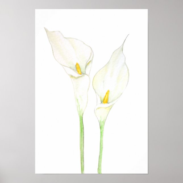 Poster 2 white calla lily watercolor (Frente)