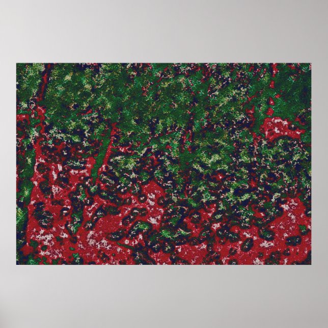Poster 2b004 AUTUMNfoliageeedifcanvasartb- (Frente)