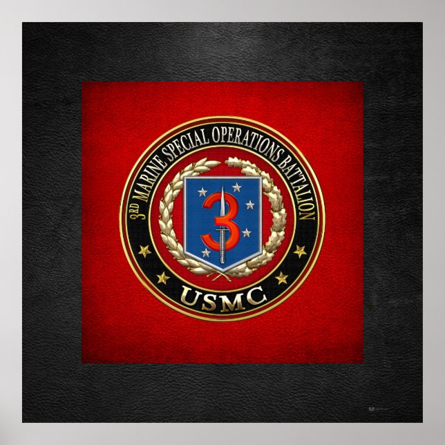 PÔSTER 3º MSOB [3D] (Frente)