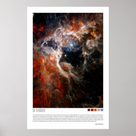 Poster 30 Doradus (Nebulosa de Tarantula, NGC 2070)