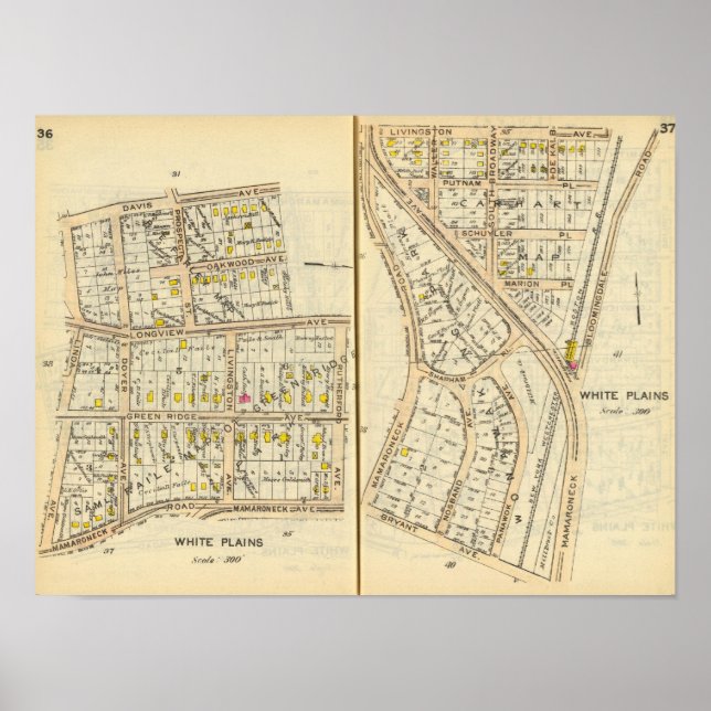Poster 36-37 White Plains (Frente)
