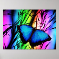 370729 RAINBOW DIGITAL BUTTERFLY REALISM