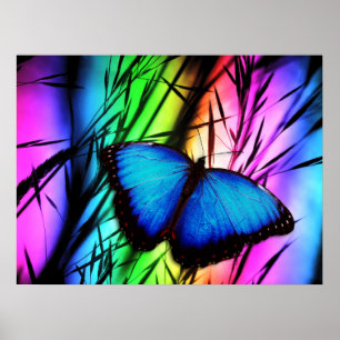 PÔSTER 370729 RAINBOW DIGITAL BUTTERFLY REALISM