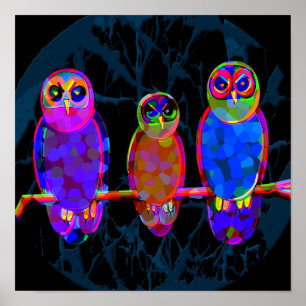 Poster 3 corujas coloridas na noite - pop art