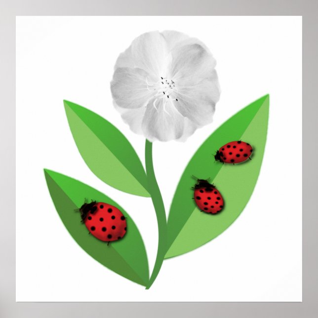 Poster 3 Damybugs (Frente)