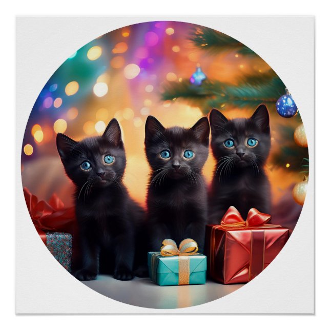 Pôster 3 Jovens Black Eyed Black Kittens Cena de Natal (Frente)