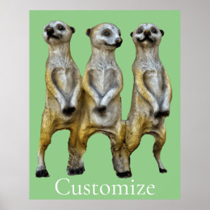 Poster 3 Meerkats em pé Thunder_Cove