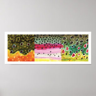 Poster 3 Peles De Trutas: Brook, Arco-Íris, Castanho - Pe