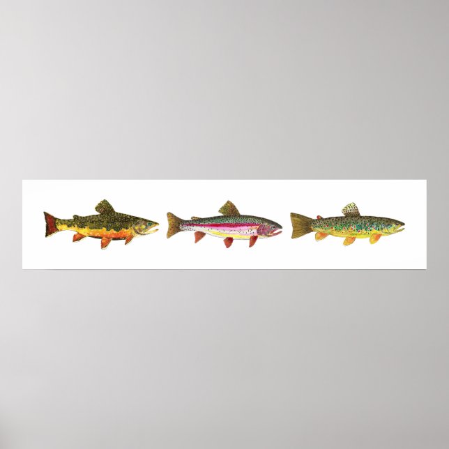 Pôster 3 Trouts - Brook, Brown, Rainbow Long Hoirzontal (Frente)