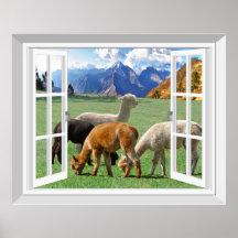 3D Visão Falsa Da Janela Alpaca Llama Wall Art