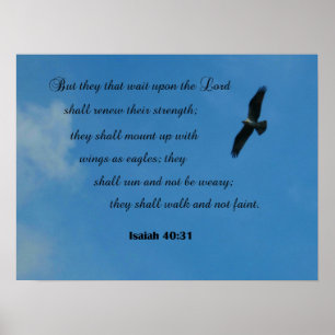 Pôster 40:31 mas eles de Isaiah essa espera em cima do