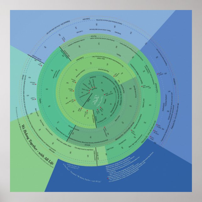 Pôster 40x40 Pertencemos a toda a vida (Frente)