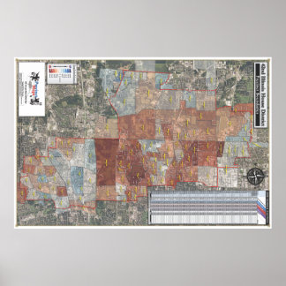 Pôster 42.o Distrito da Casa de Illinois - General 2008