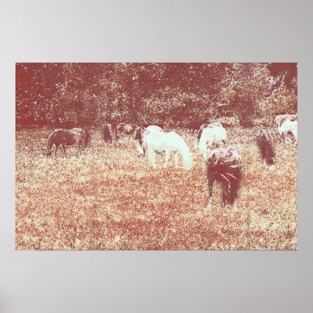 POSTER 49º-C (Frente)