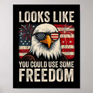 Poster 4 de julho nos EUA Bandeira Meme Parece que você p