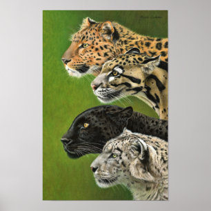 Poster 4 Leopardos