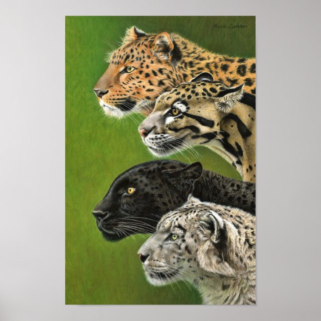Poster 4 Leopardos (Frente)
