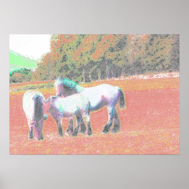 POSTER 53º (Frente)